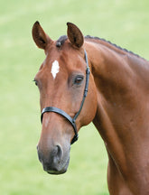 Shires GARA Cavesson Noseband